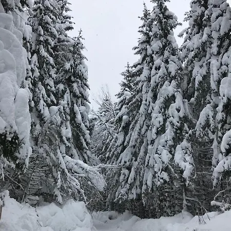 Alpenglueck Schladming - Dachstein By Aa Homes Шале *