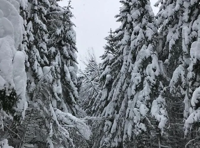 Alpenglueck Schladming - Dachstein By Aa Homes Chalet *
